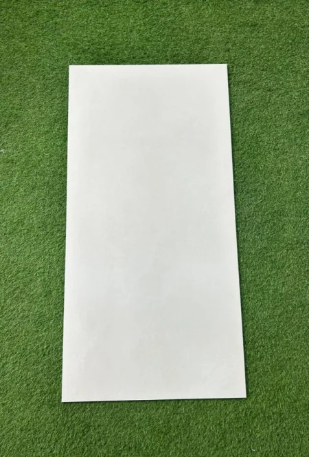 F 6069